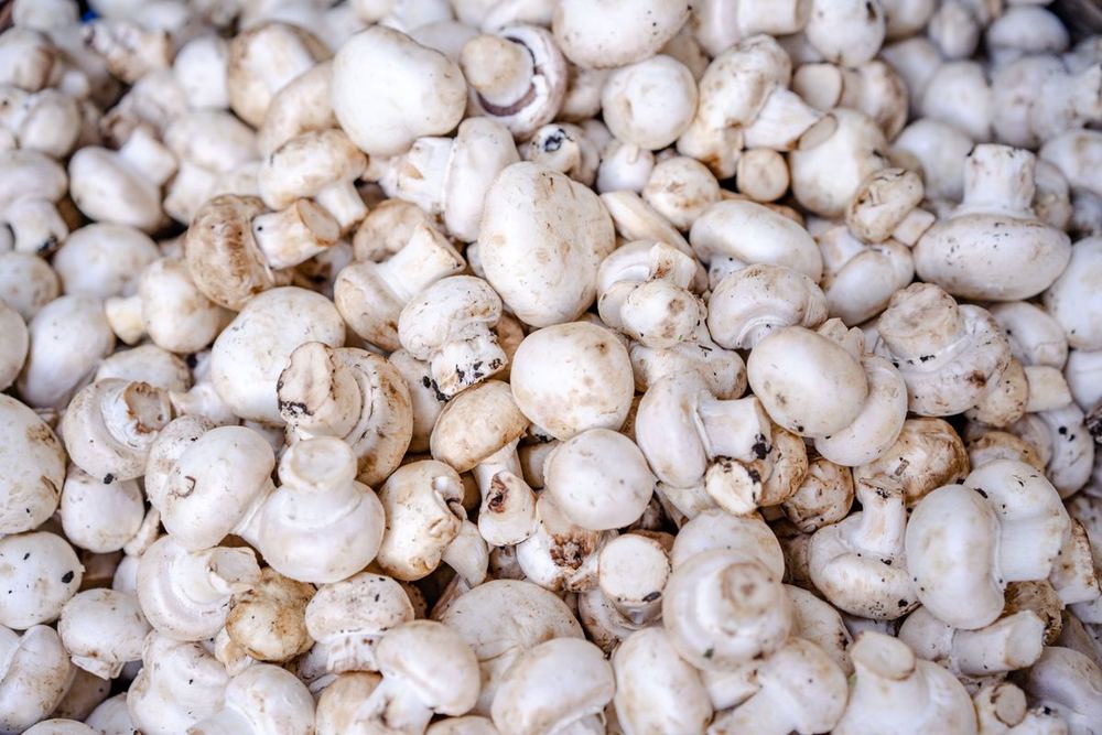 Mushrooms