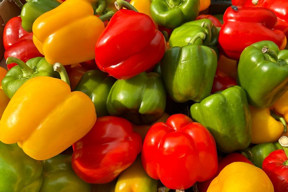 Mini peppers and bell peppers