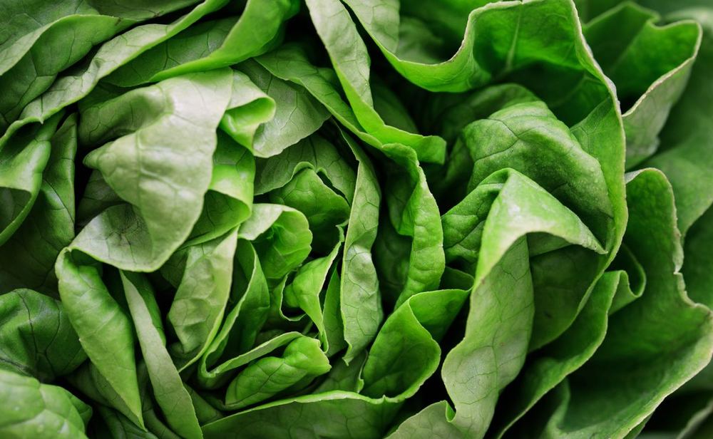 Bagged salads and leafy greens