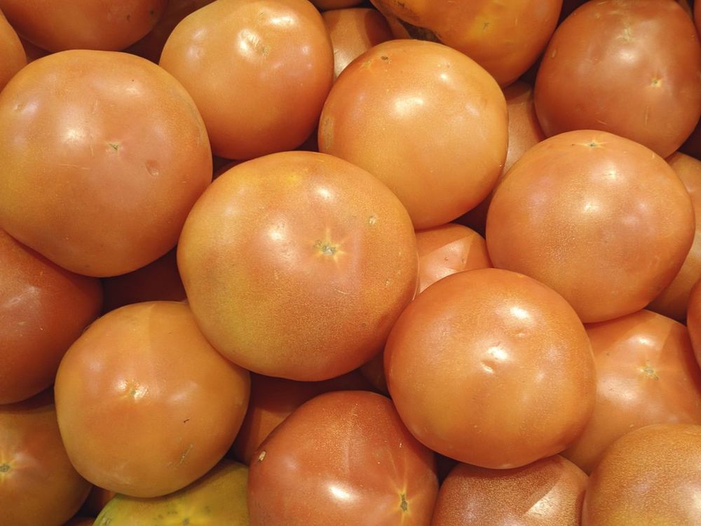 Tomatoes and greenhouse vegetables